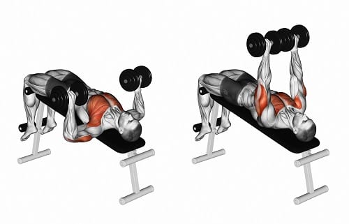 How to Do a Chest Press